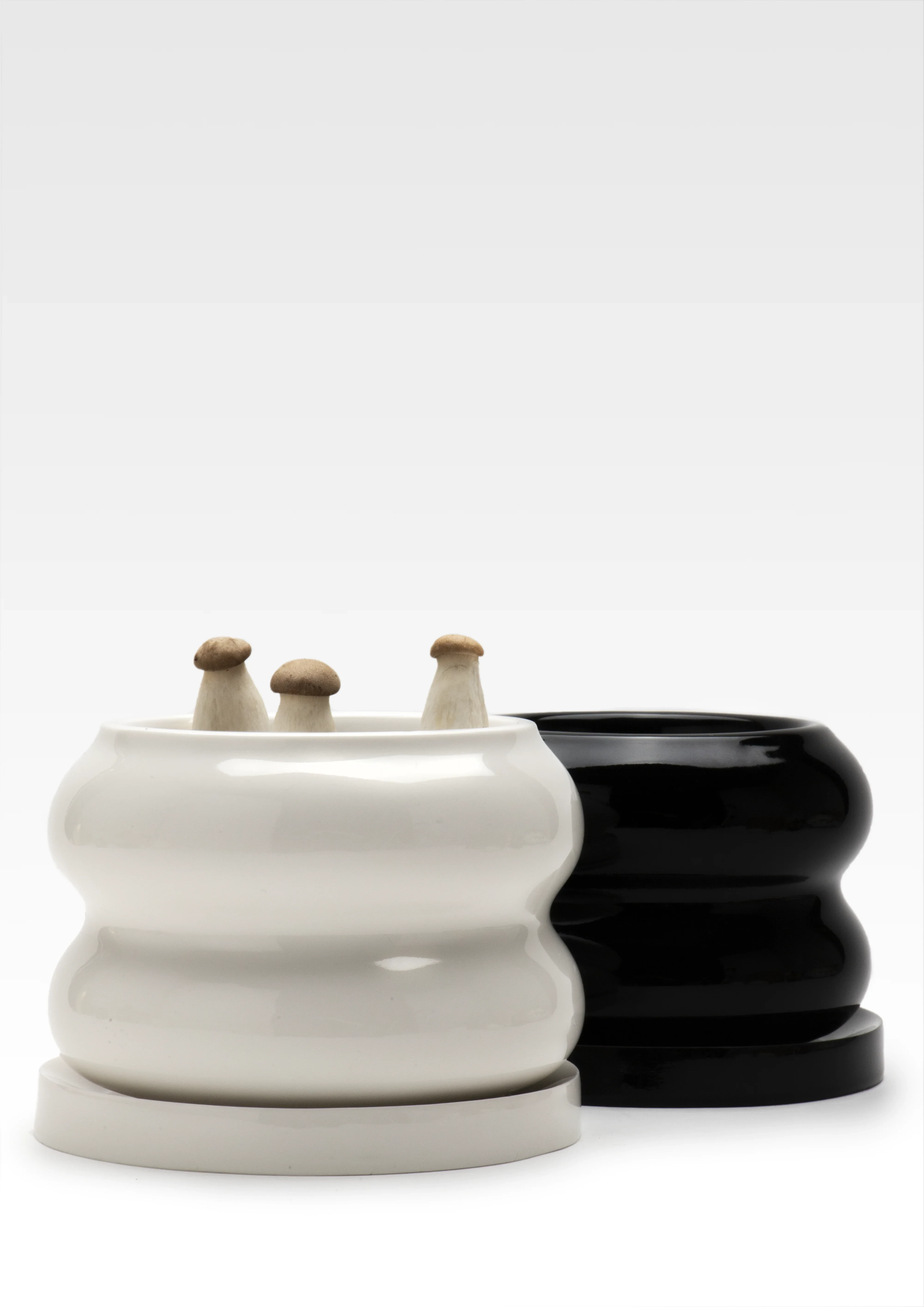 Chubby Pot & Empty Plate