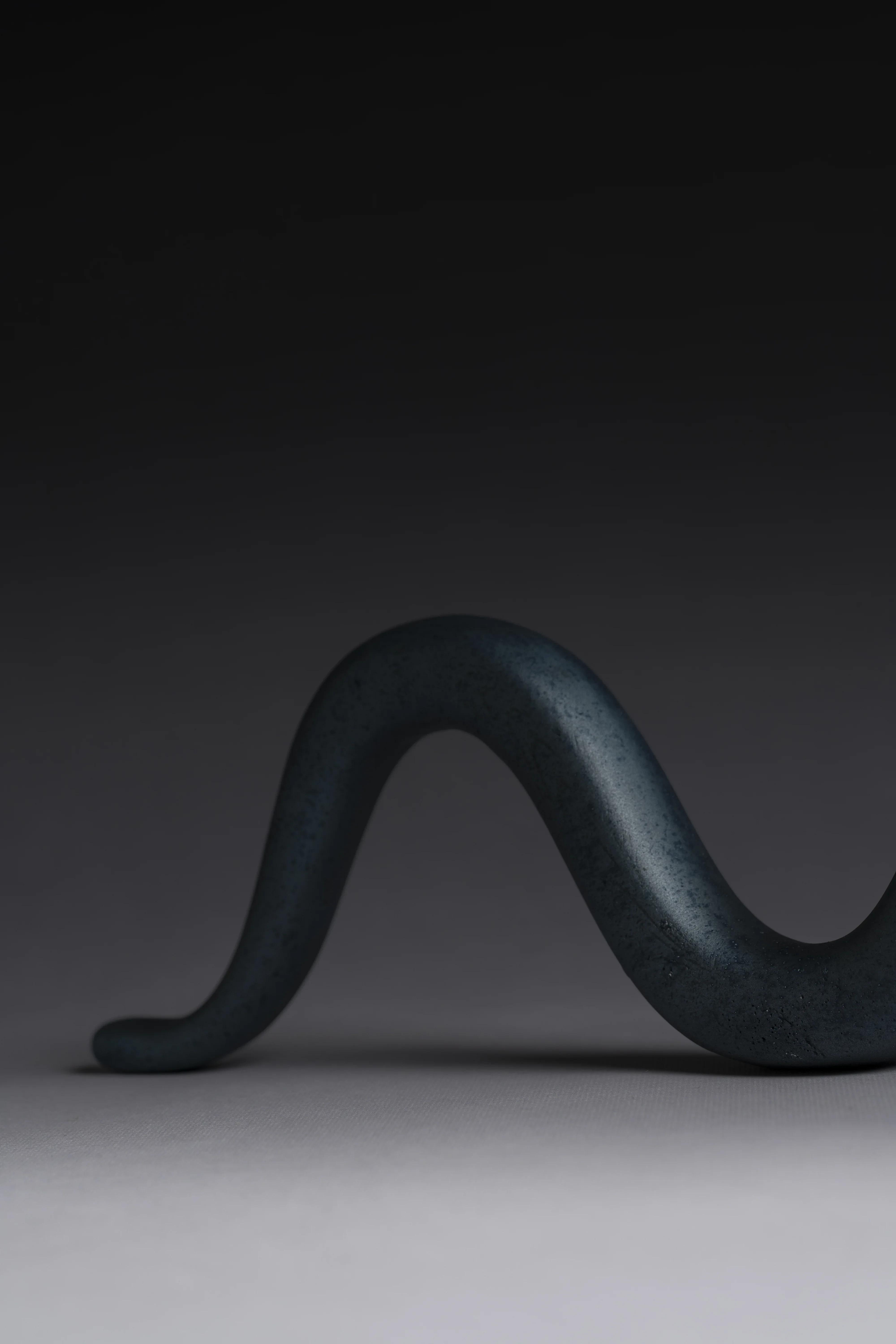 Totem: Snake 2025