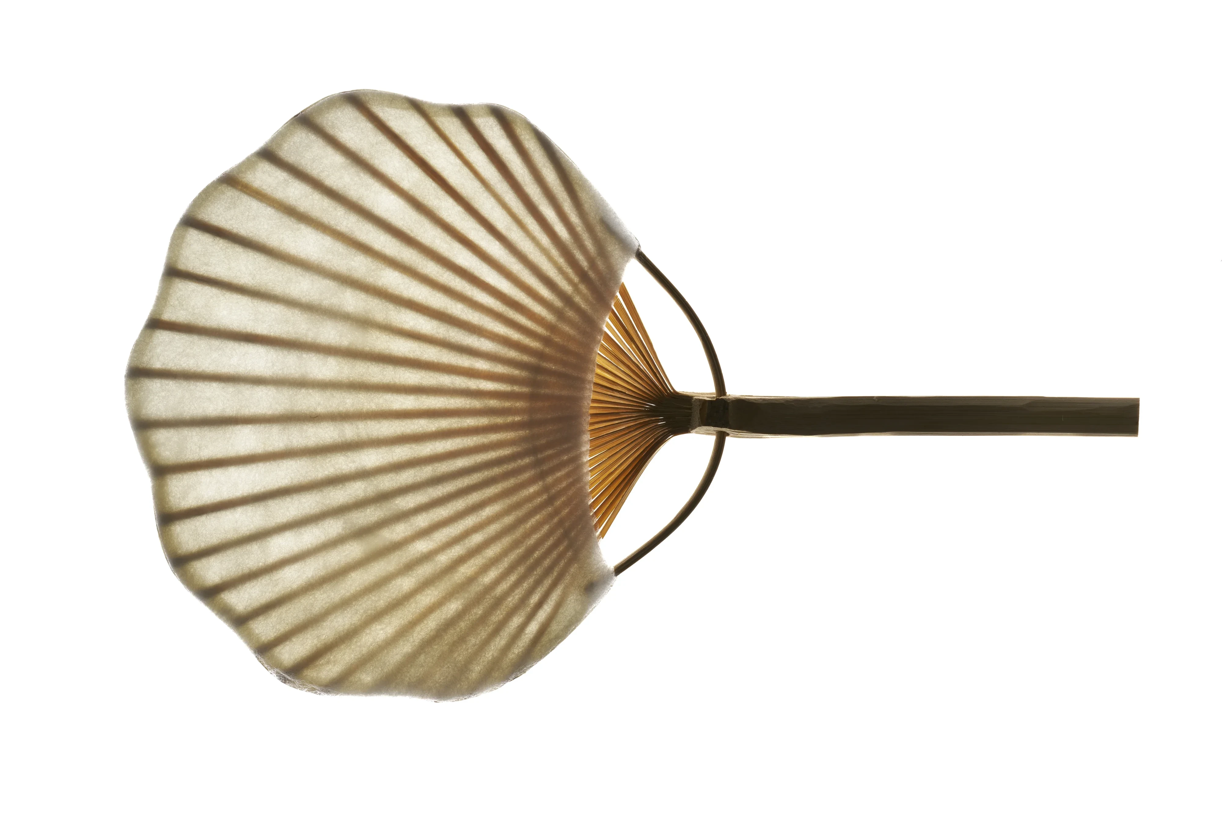 Ripstop Folding Fan & Cloud Hand Fan